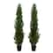 6ft. Potted UV Resistant Topiary Cedar Trees, 2ct.